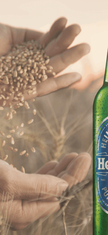Heineken00 (1) (1)