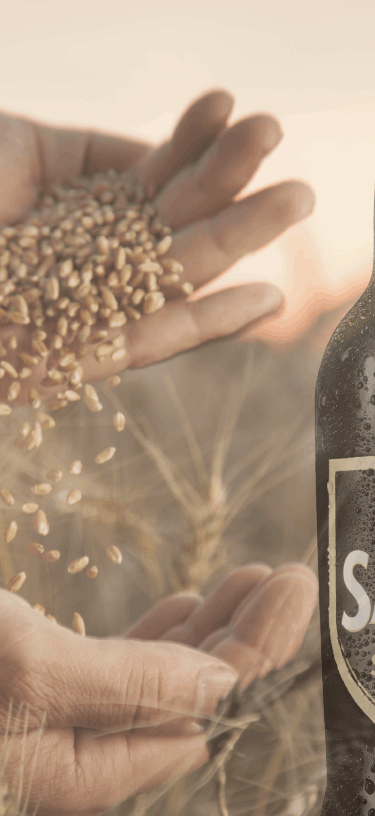 Stout (1)