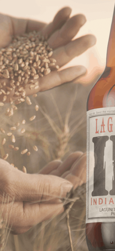 Lagunitas (1)