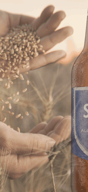 Sagres00 (1) (1)