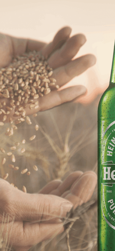 Heineken (1)